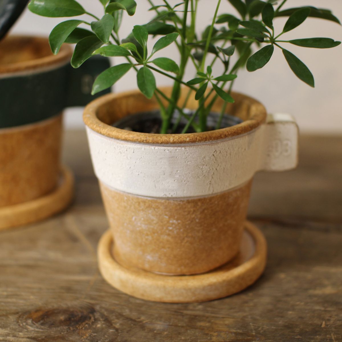 SOW/ラテプランター ホワイト Sサイズ/GBGY1011WHSW