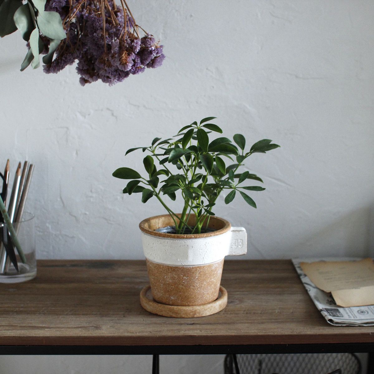 SOW/ラテプランター ホワイト Sサイズ/GBGY1011WHSW