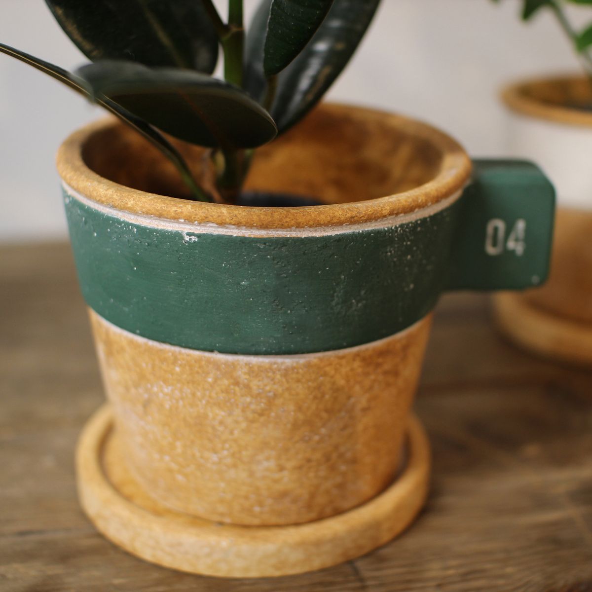 SOW/ラテプランター グリーン Lサイズ/GBGY1013GRSW