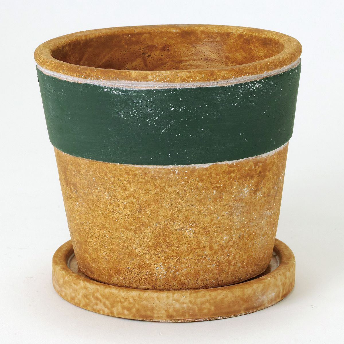 SOW/ラテプランター グリーン Lサイズ/GBGY1013GRSW