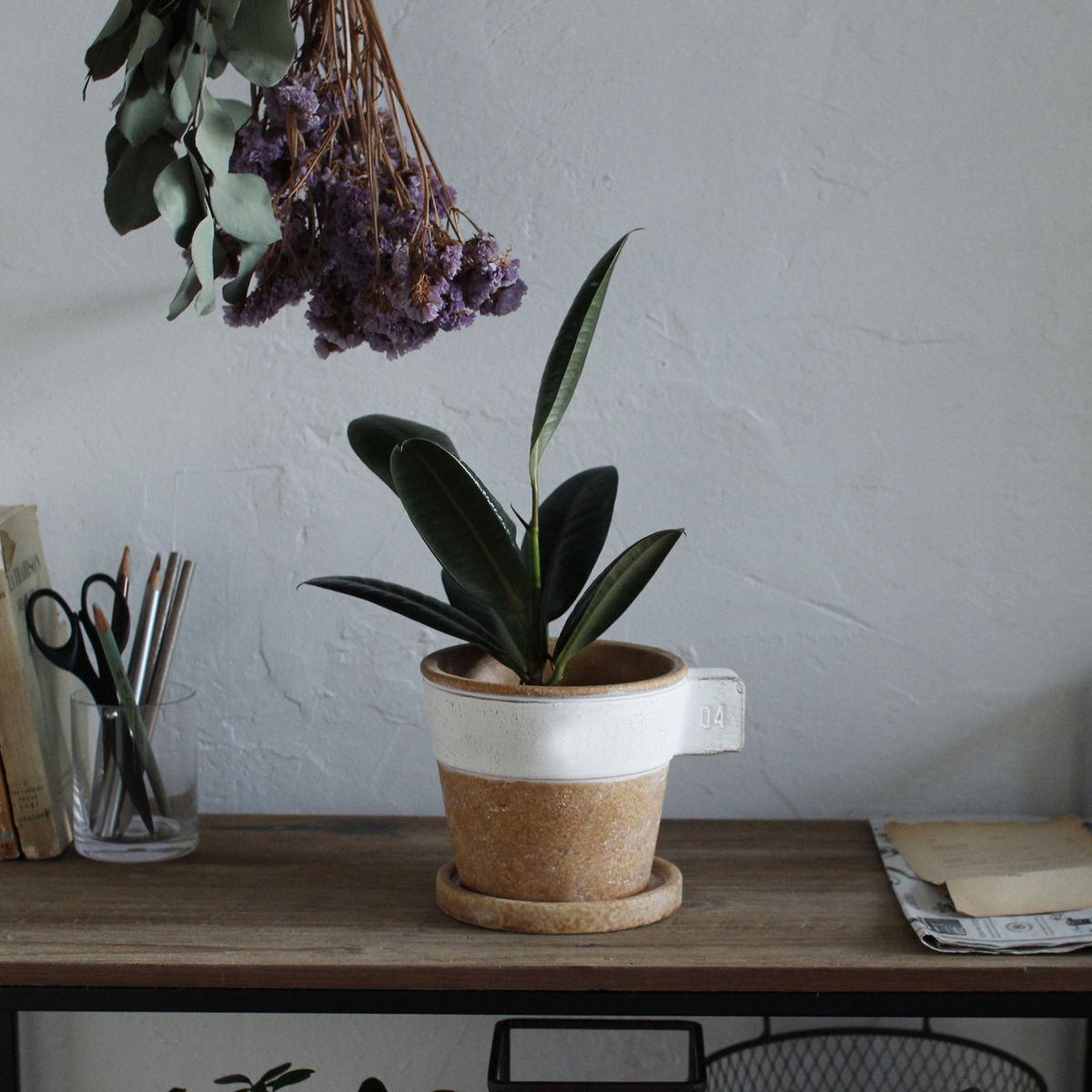 SOW/ラテプランター ホワイト Lサイズ/GBGY1013WHSW