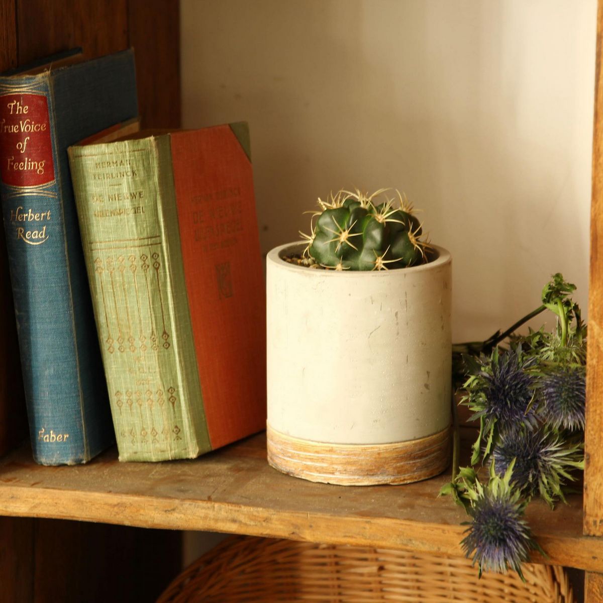 SOW/FEEL THE GARDEN セメントプランター ラウンド Sサイズ/CBGZ2011SW