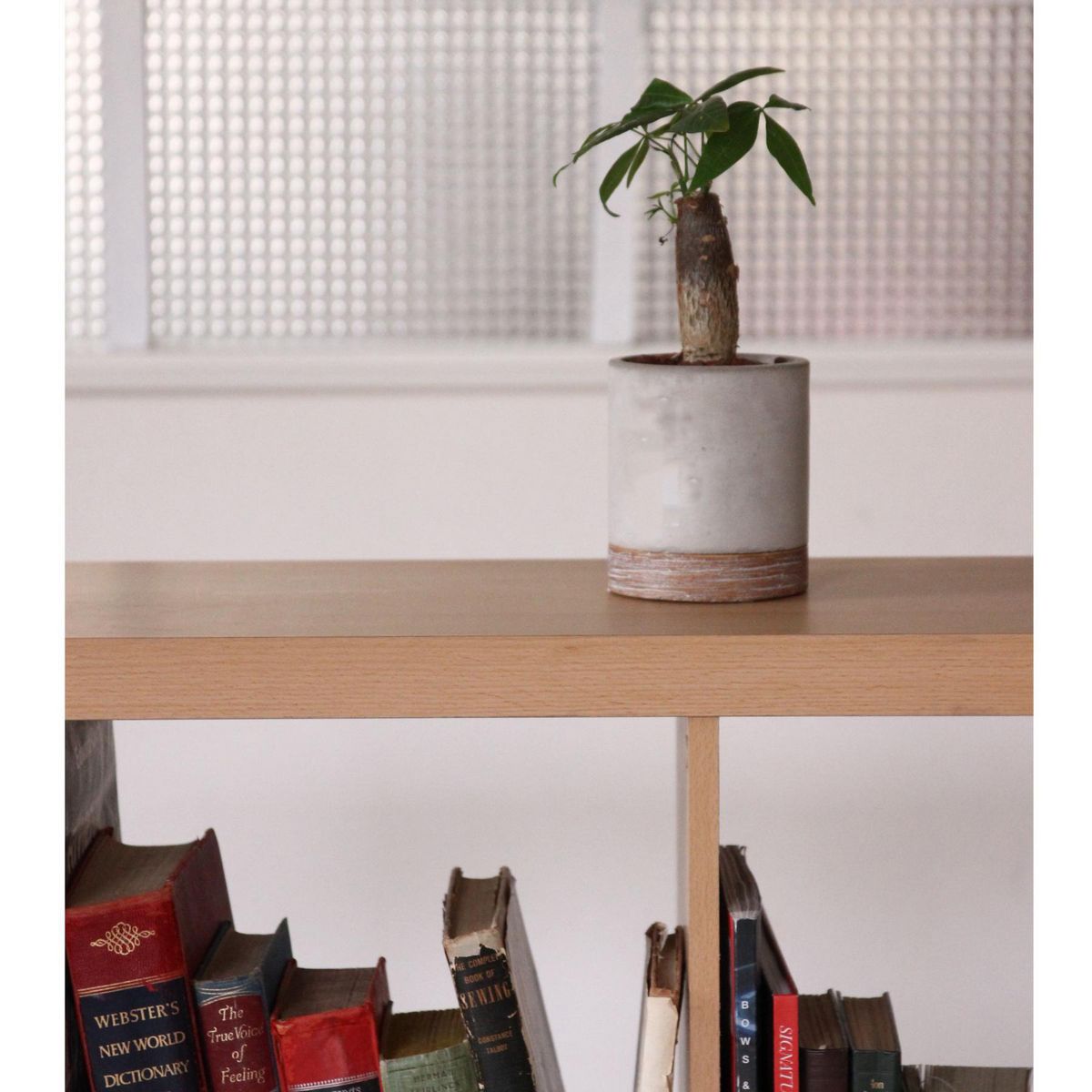 SOW/FEEL THE GARDEN セメントプランター ラウンド Sサイズ/CBGZ2011SW