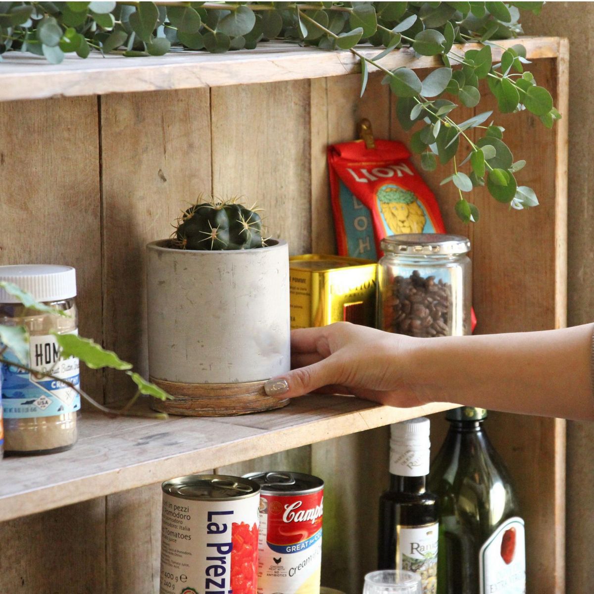 SOW/FEEL THE GARDEN セメントプランター ラウンド Sサイズ/CBGZ2011SW