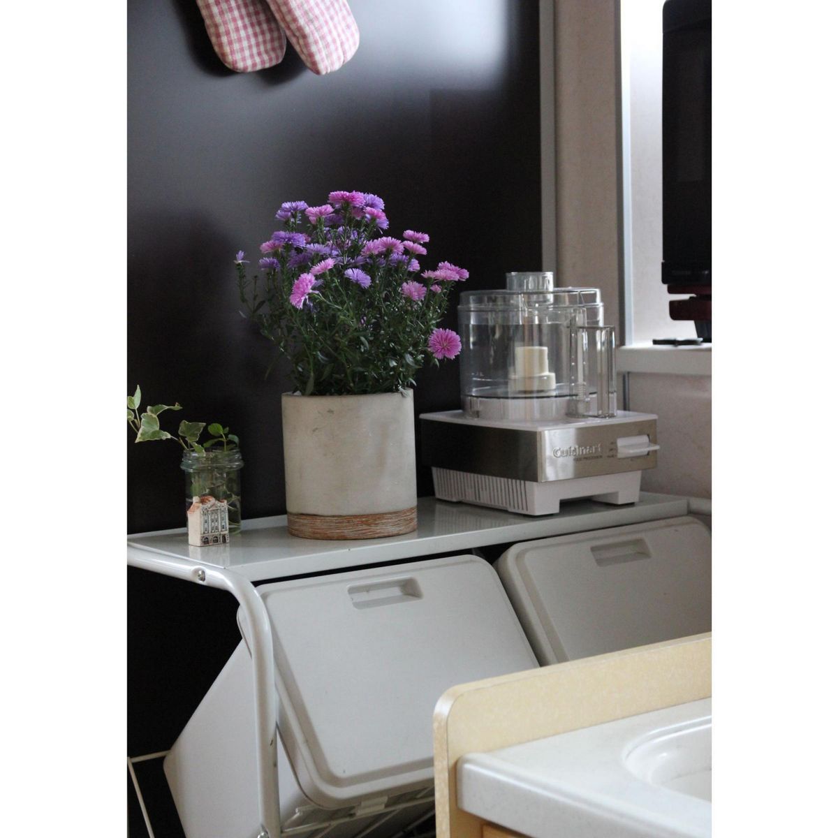 SOW/FEEL THE GARDEN セメントプランター ラウンド Lサイズ/CBGZ2013SW