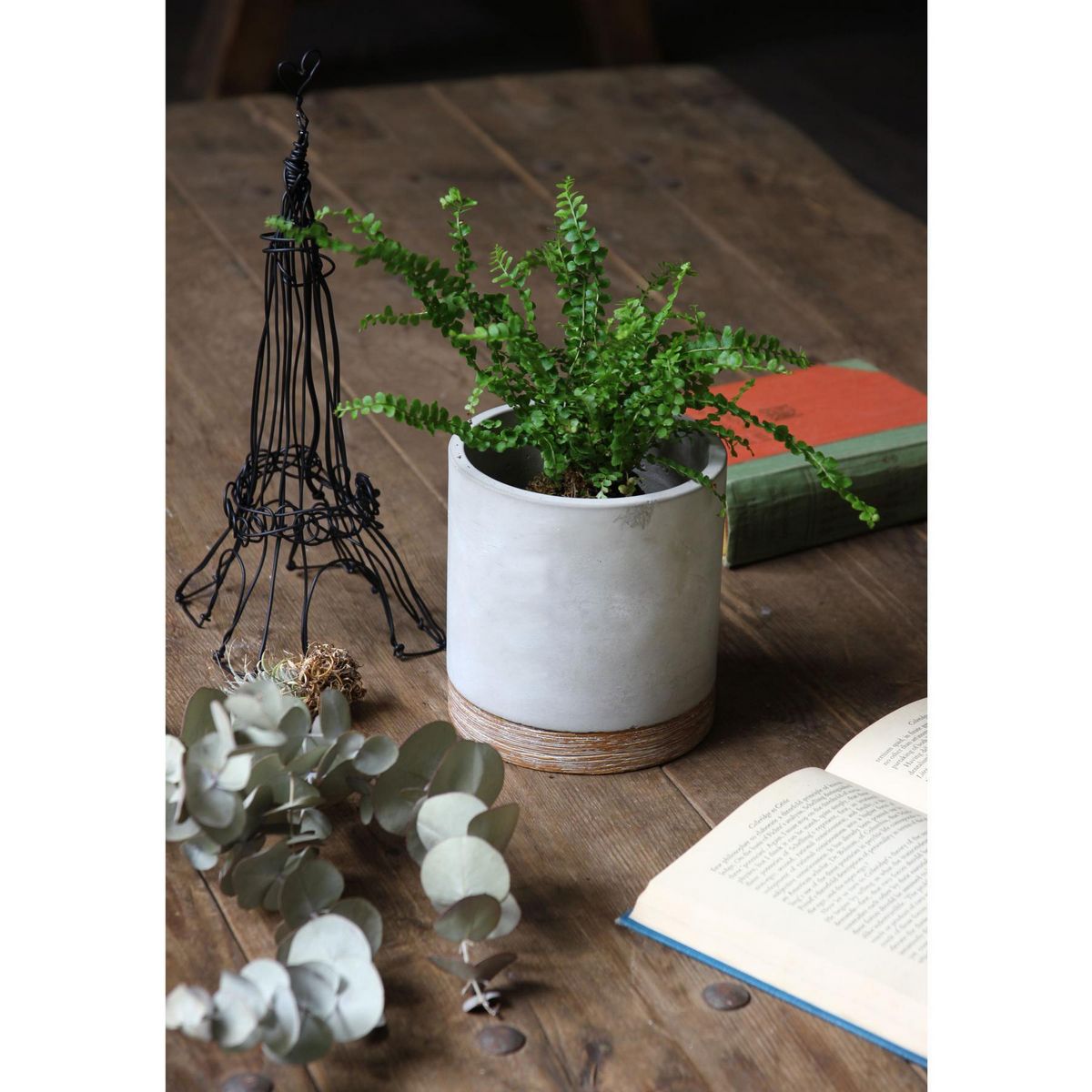 SOW/FEEL THE GARDEN セメントプランター ラウンド Lサイズ/CBGZ2013SW