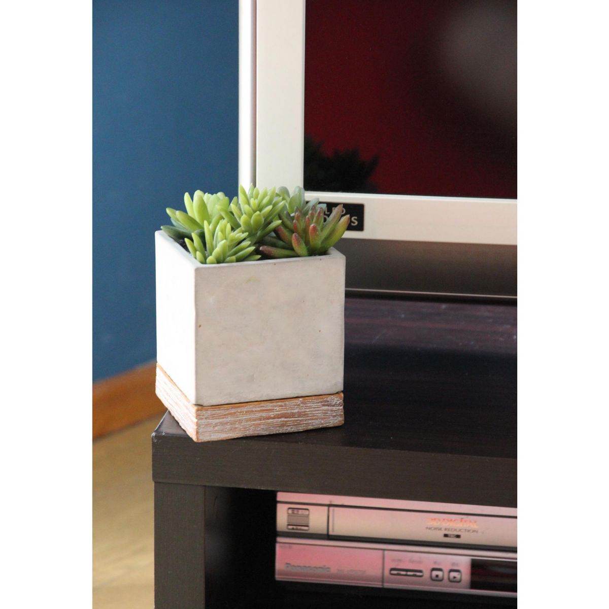 SOW/FEEL THE GARDEN セメントプランター スクエア Sサイズ/CBGZ2021SW