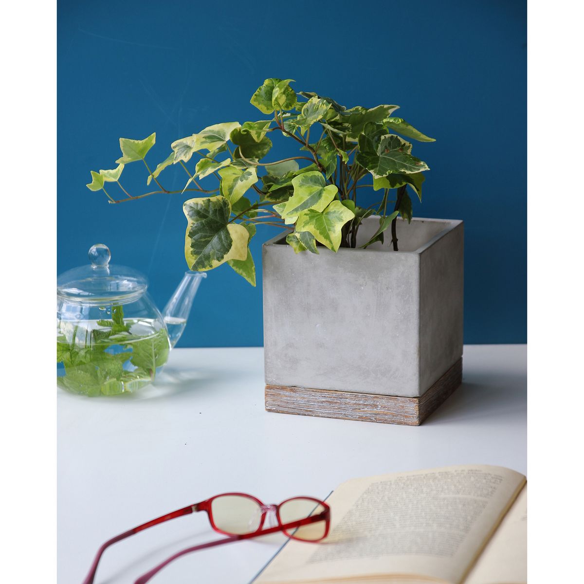 SOW/FEEL THE GARDEN セメントプランター スクエア Lサイズ/CBGZ2023SW