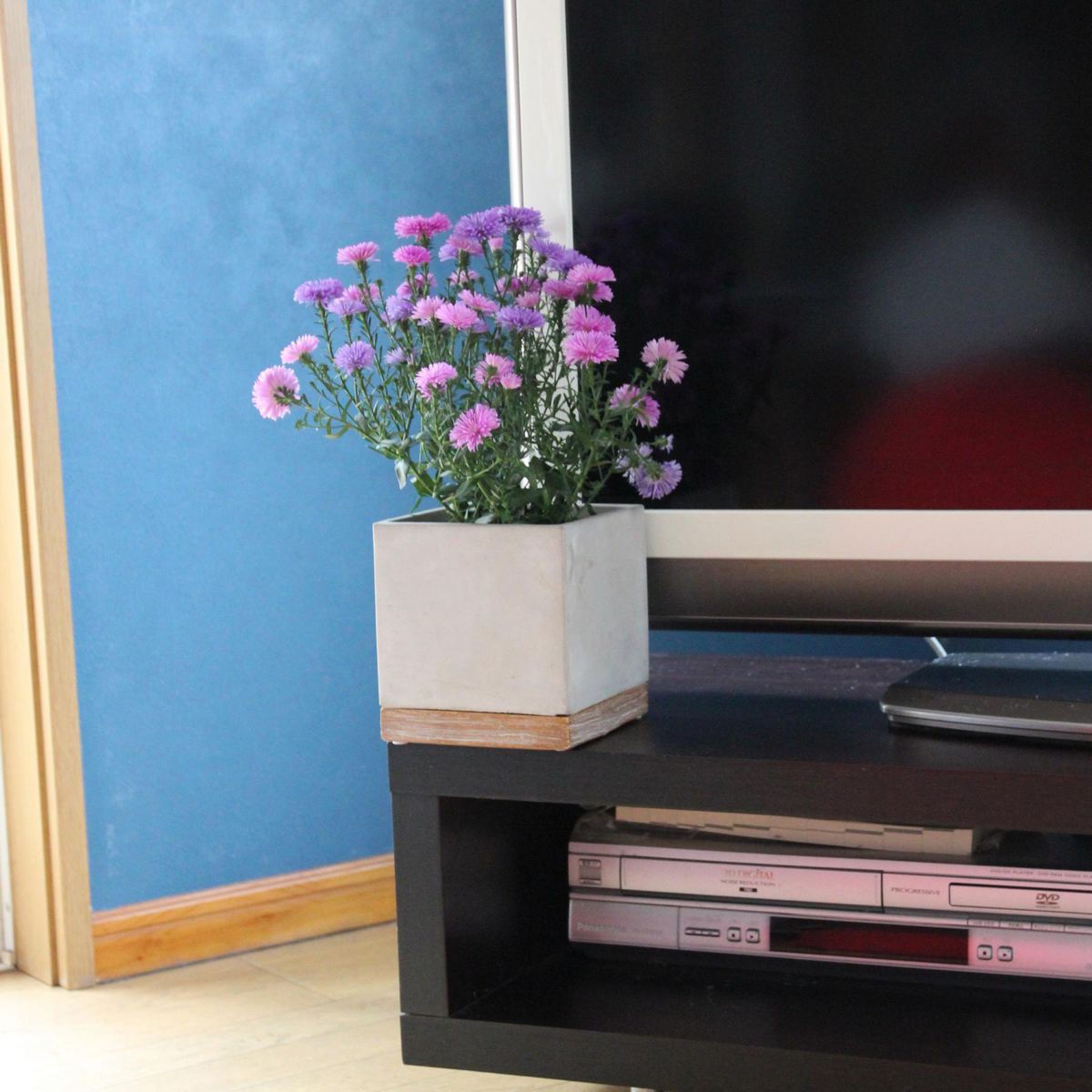 SOW/FEEL THE GARDEN セメントプランター スクエア Lサイズ/CBGZ2023SW