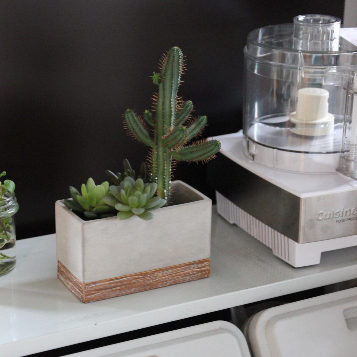 SOW/FEEL THE GARDEN セメントプランター レクト Sサイズ/CBGZ2041SW