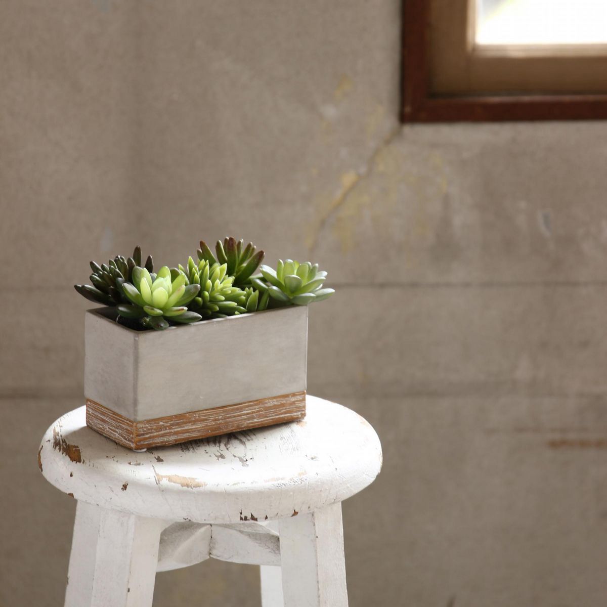 SOW/FEEL THE GARDEN セメントプランター レクト Sサイズ/CBGZ2041SW