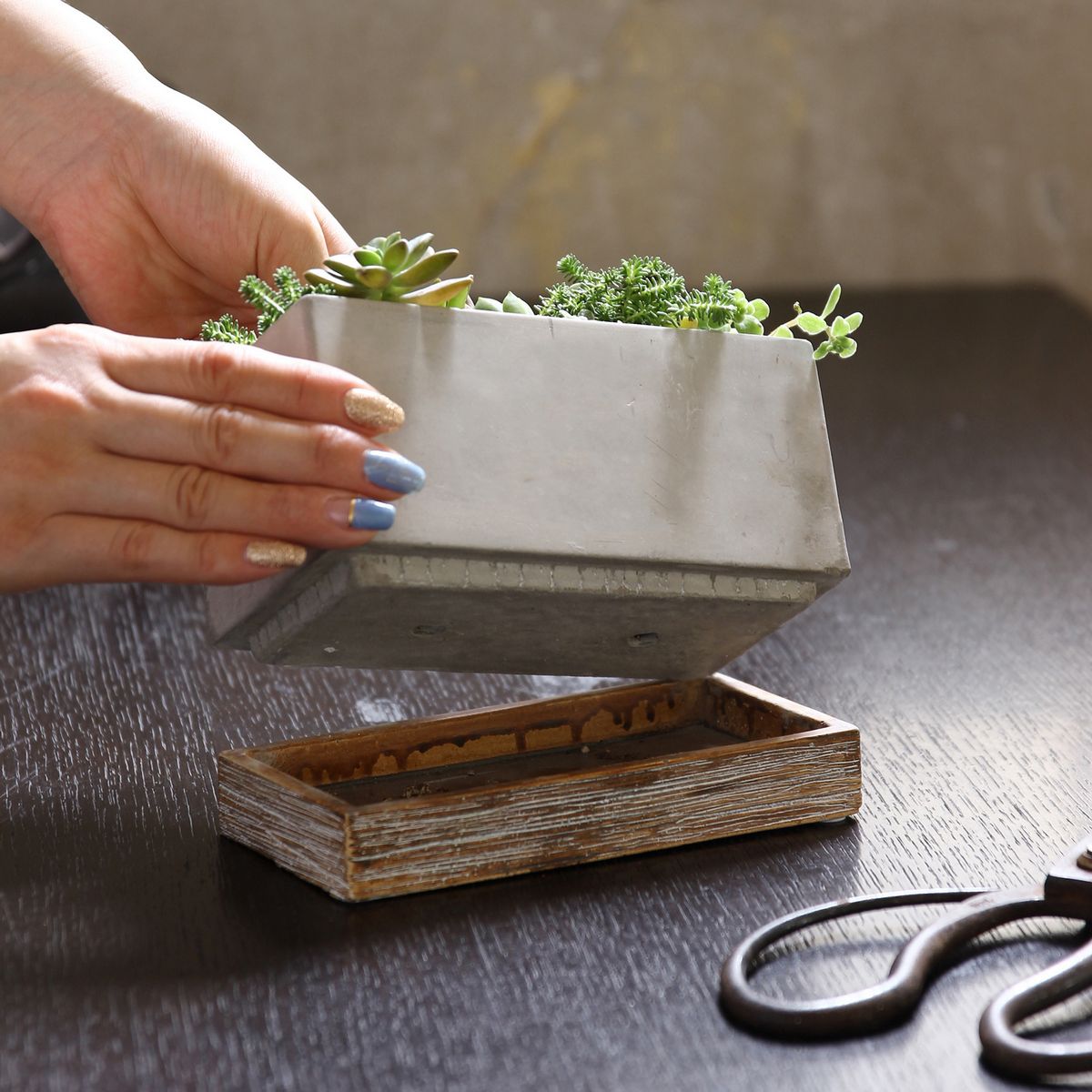 SOW/FEEL THE GARDEN セメントプランター レクト Sサイズ/CBGZ2041SW