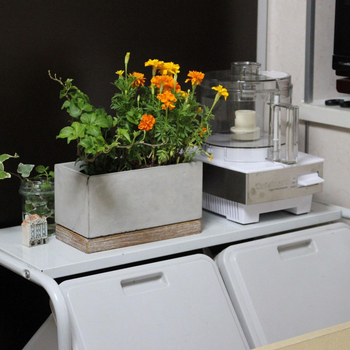 SOW/FEEL THE GARDEN セメントプランター レクト Lサイズ/CBGZ2043SW