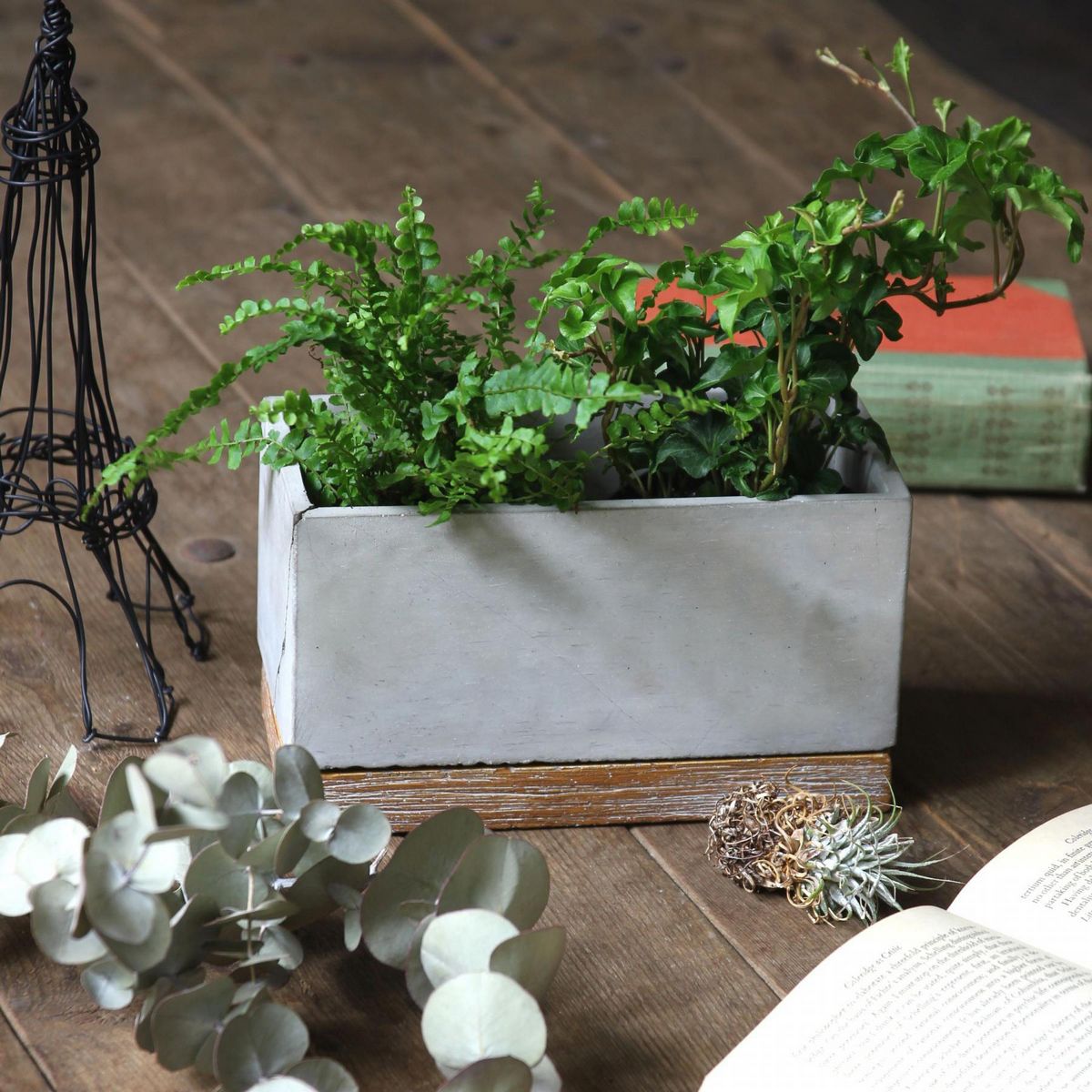 SOW/FEEL THE GARDEN セメントプランター レクト Lサイズ/CBGZ2043SW