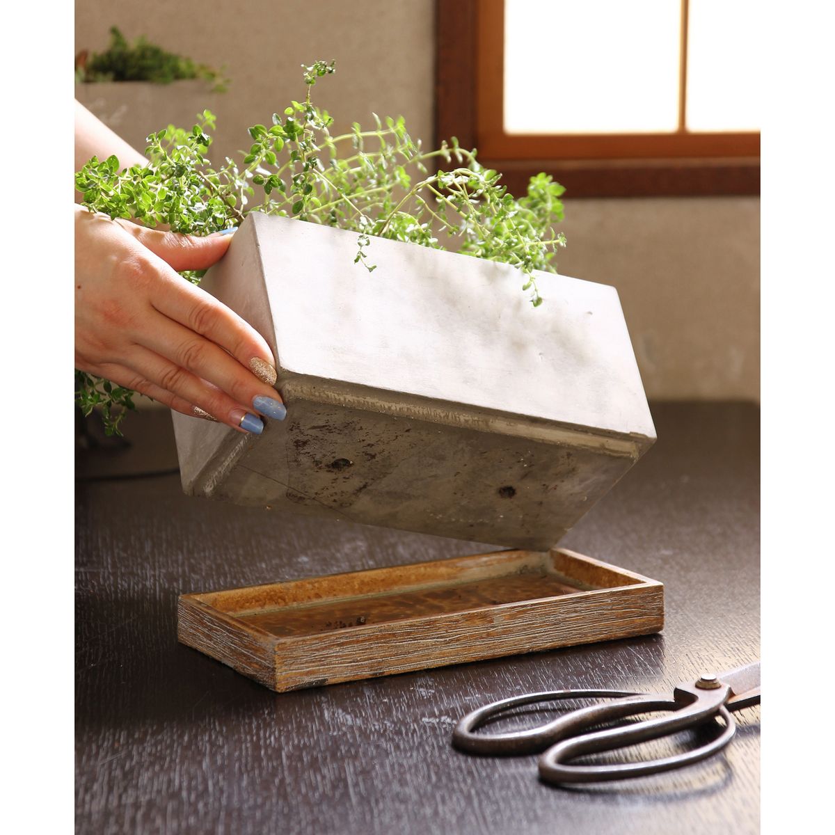 SOW/FEEL THE GARDEN セメントプランター レクト Lサイズ/CBGZ2043SW