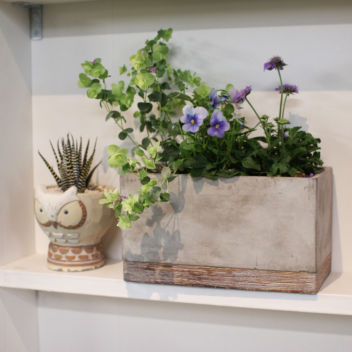 SOW/FEEL THE GARDEN セメントプランター レクト Lサイズ/CBGZ2043SW