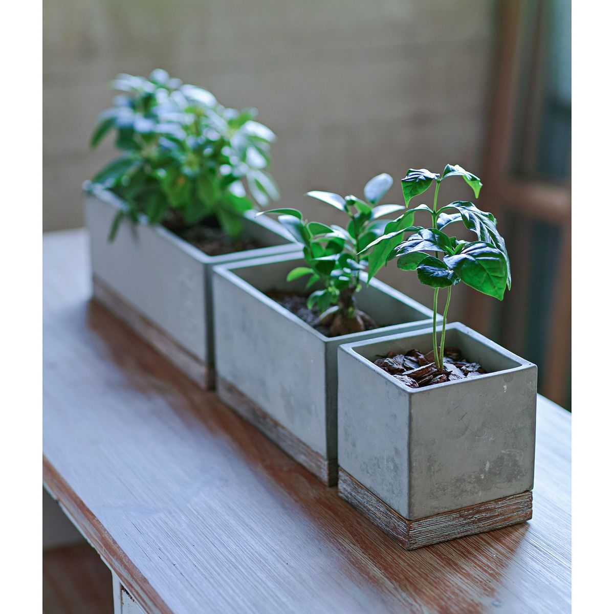 SOW/FEEL THE GARDEN セメントプランター レクト ロング/CBGZ2050SW