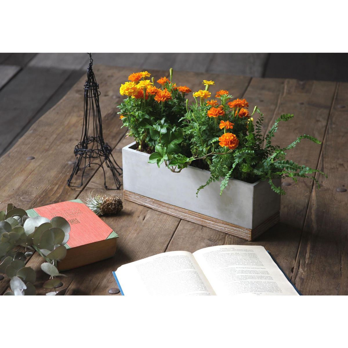 SOW/FEEL THE GARDEN セメントプランター レクト ロング/CBGZ2050SW