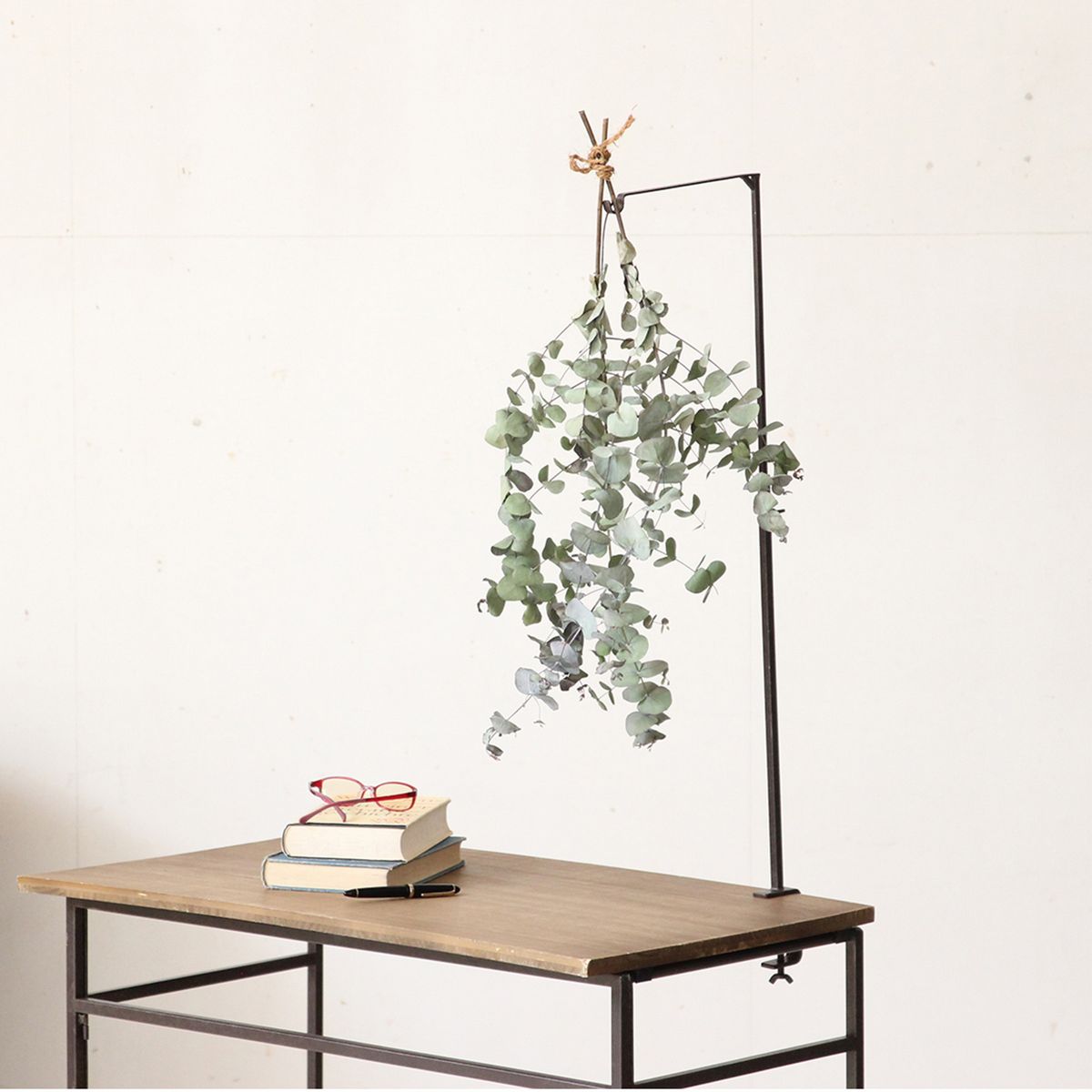 SOW/ジョセフアイアン クランプハンギングフック/DTFF2350SW