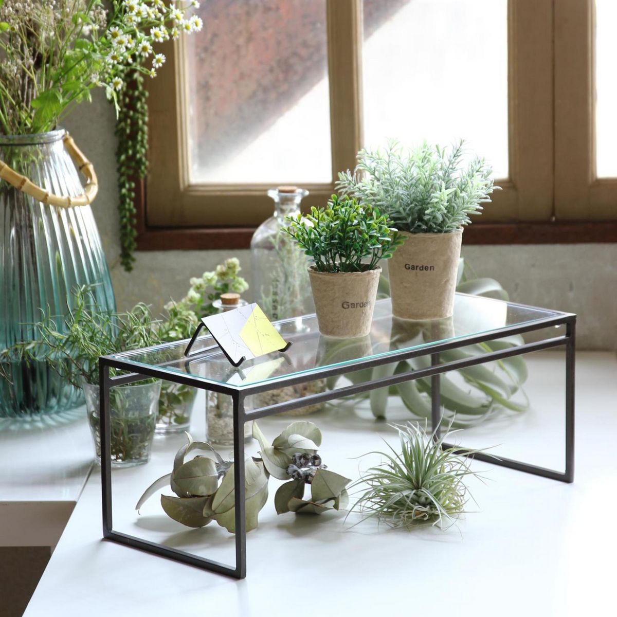 SOW/ジョセフアイアン ガラスディスプレイ台 ワイド Lサイズ/DTFF2663SW