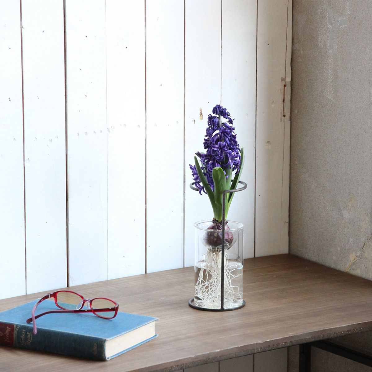 SOW/ジョセフアイアン フラワーサポートワイヤースタンド Sサイズ/DTFF2511SW