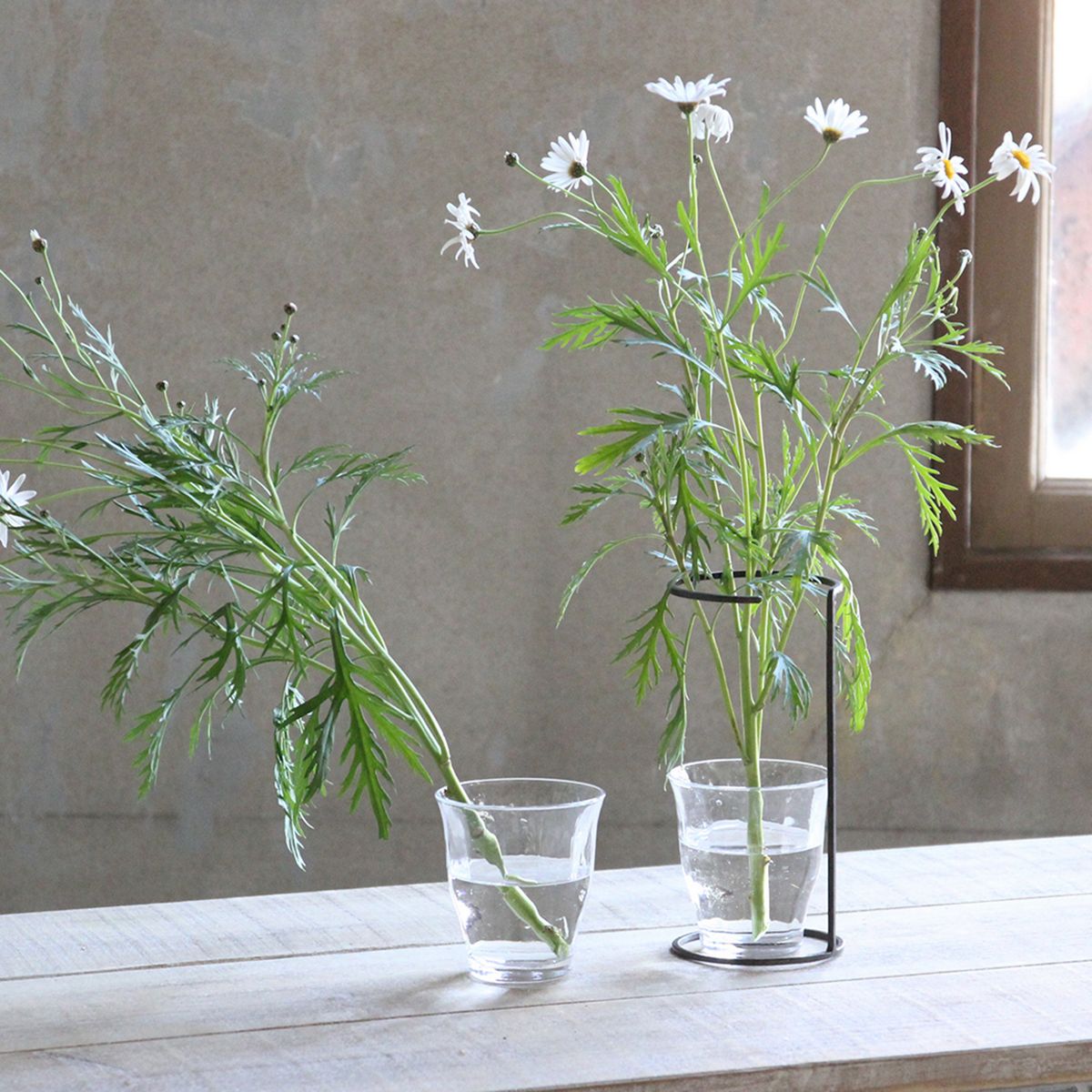 SOW/ジョセフアイアン フラワーサポートワイヤースタンド Sサイズ/DTFF2511SW