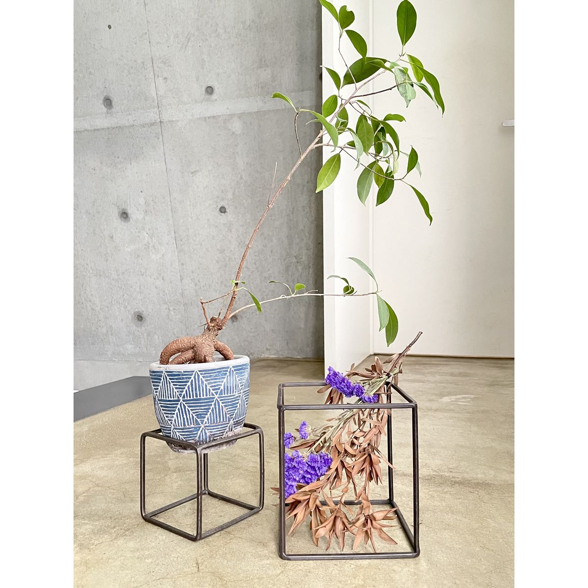 SOW/ジョセフアイアン ディスプレイワイヤーフレーム キューブ Sサイズ/DTFF2401SW