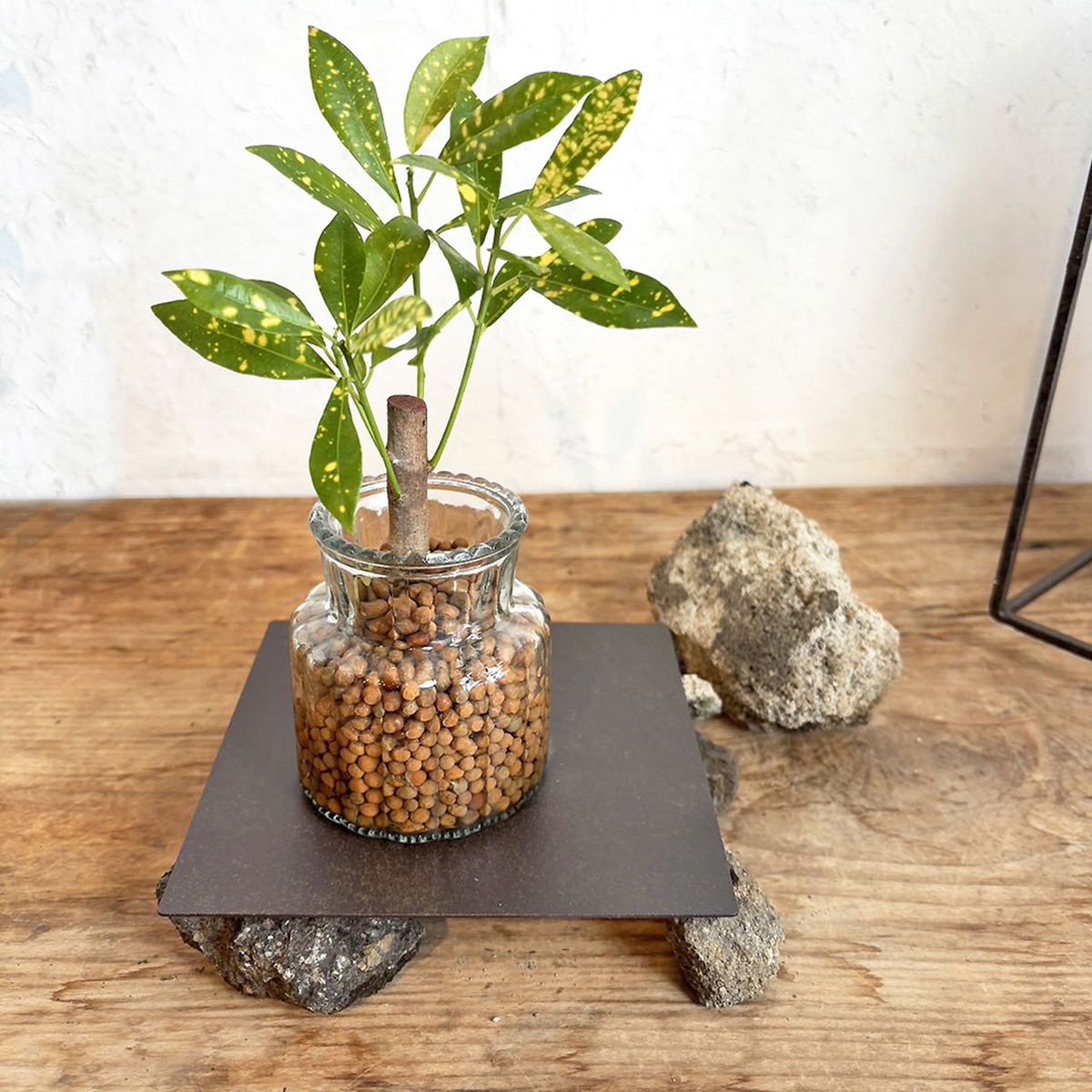 SOW/ジョセフアイアンプレート 15×15/DTFF7008S