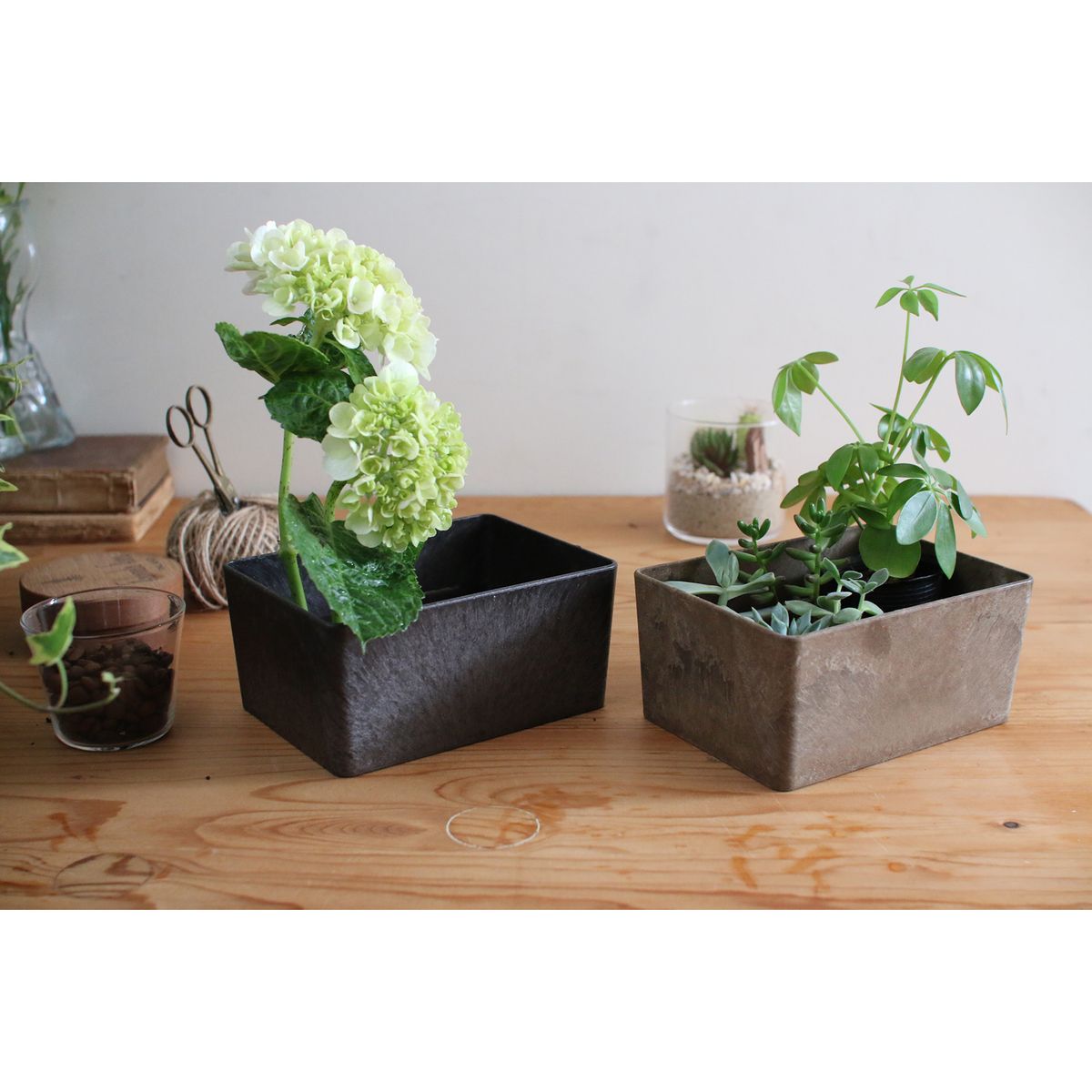 SOW/KITOHAKO GREENBOX コーヒーグラウンズ/KT2001