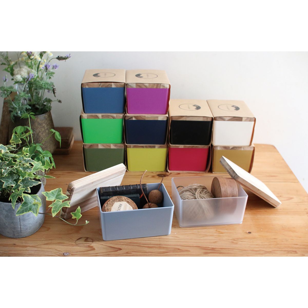 SOW/KITOHAKO ネオンパープル/KT1012