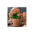 八幡化成/エコポット浅型6号　NA/101543