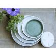 八幡化成/エコプレート丸型5号　NA/108795