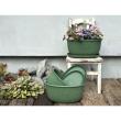 八幡化成/エコプレートオーバル490　WH/243250