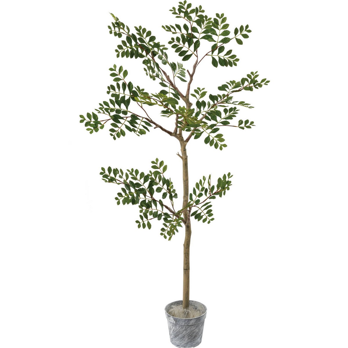アウトレット◎【人工観葉植物】YDM/ジョイントトネリコツリーセット GR/GLA-1515-GR