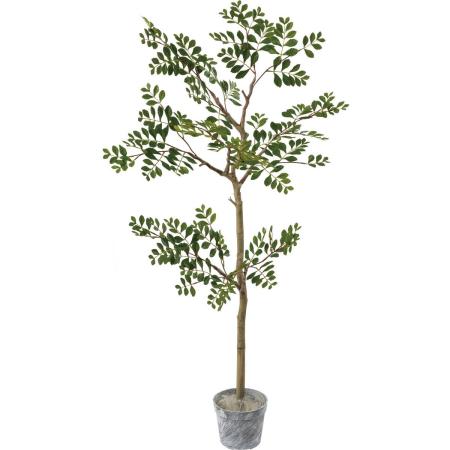 アウトレット◎【人工観葉植物】YDM/ジョイントトネリコツリーセット GR/GLA-1515-GR