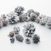 ※販売終了※アウトレット◎【ドライ】大地農園/コーンアソート ウォッシュホワイト 約100g/24884-010