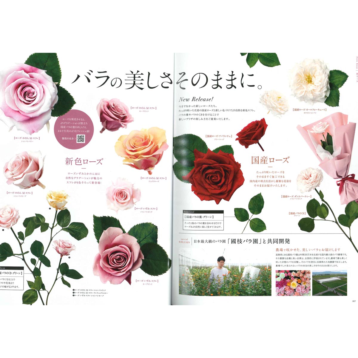 即日★《大地農園商品ご購入者様限定プレゼント》 大地農園/2025春夏カタログvol.212