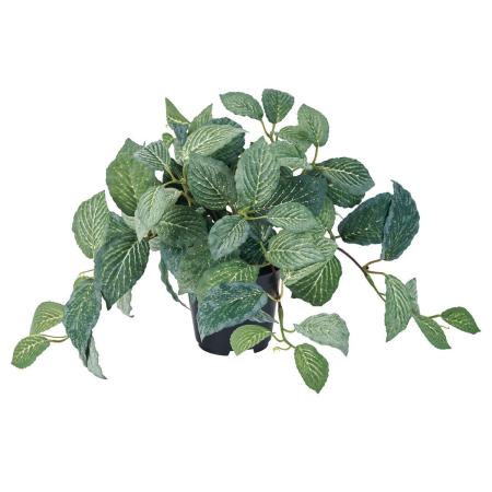 アウトレット◎【人工観葉植物】MAGIQ東京堂/フィットニアポット(光触媒)/ZV009019 ※返品キャンセル不可