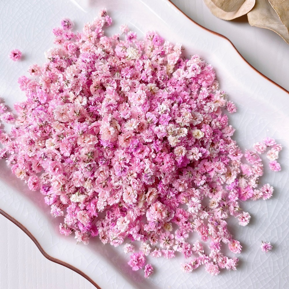 アウトレット◎【ドライ】m flowers/かすみ草 ドライ 着色 ピンク
