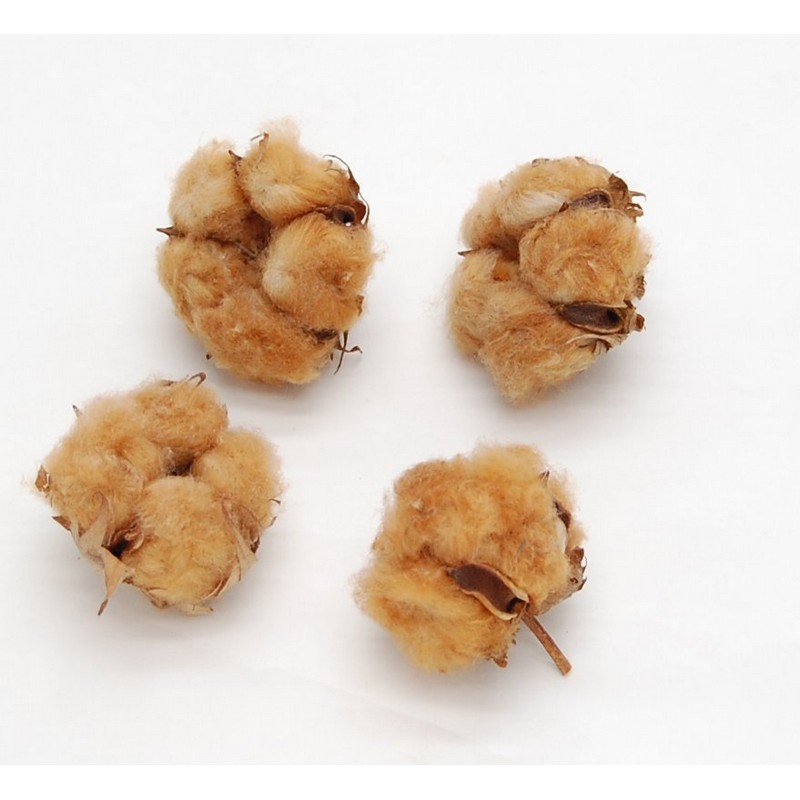 アウトレット◎【ドライ】コアトレーディング/コットンフラワーヘッド 4輪 ナチュラルテディベア/17245