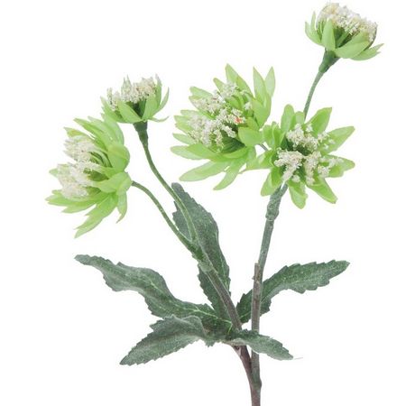 アウトレット◎【造花】YDM/アストランティア グリーン/FFH-0001-GR