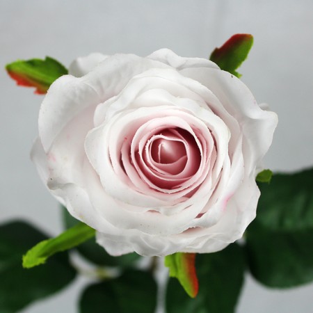 アウトレット◎【造花】FIAN/アンジェロローズ/FR0024L/P