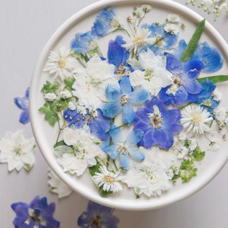 アウトレット◎【ドライ】m flowers/押し花アソート ブルー×ホワイト 詰め合わせ