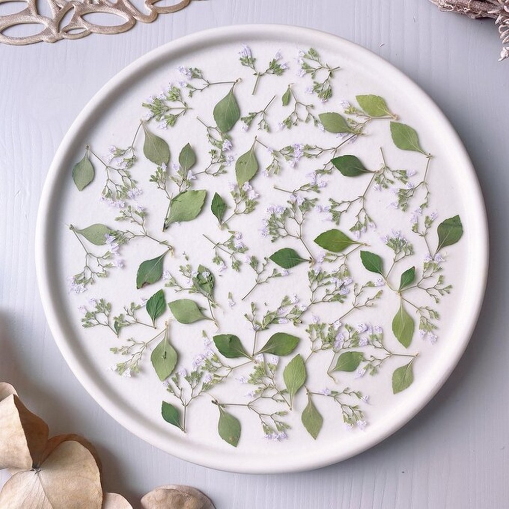 アウトレット◎【ドライ】m flowers/押し花 カラミンサ ミニ