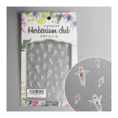 アウトレット◎ハーバリウムクラブ/クリオネ/HR-CLI-101