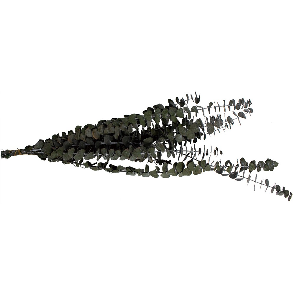 アウトレット◎【プリザーブド】GARDEN PALETTE MONO/ユーカリベイビーブルー  グリーン/GPUBB-01