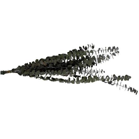 アウトレット◎【プリザーブド】GARDEN PALETTE MONO/ユーカリベイビーブルー  グリーン/GPUBB-01