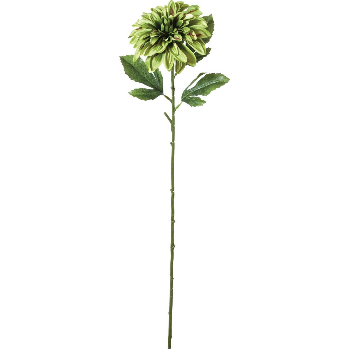 アウトレット◎【造花】YDM/フイリシングルダリア グリーン/FA-7328GR