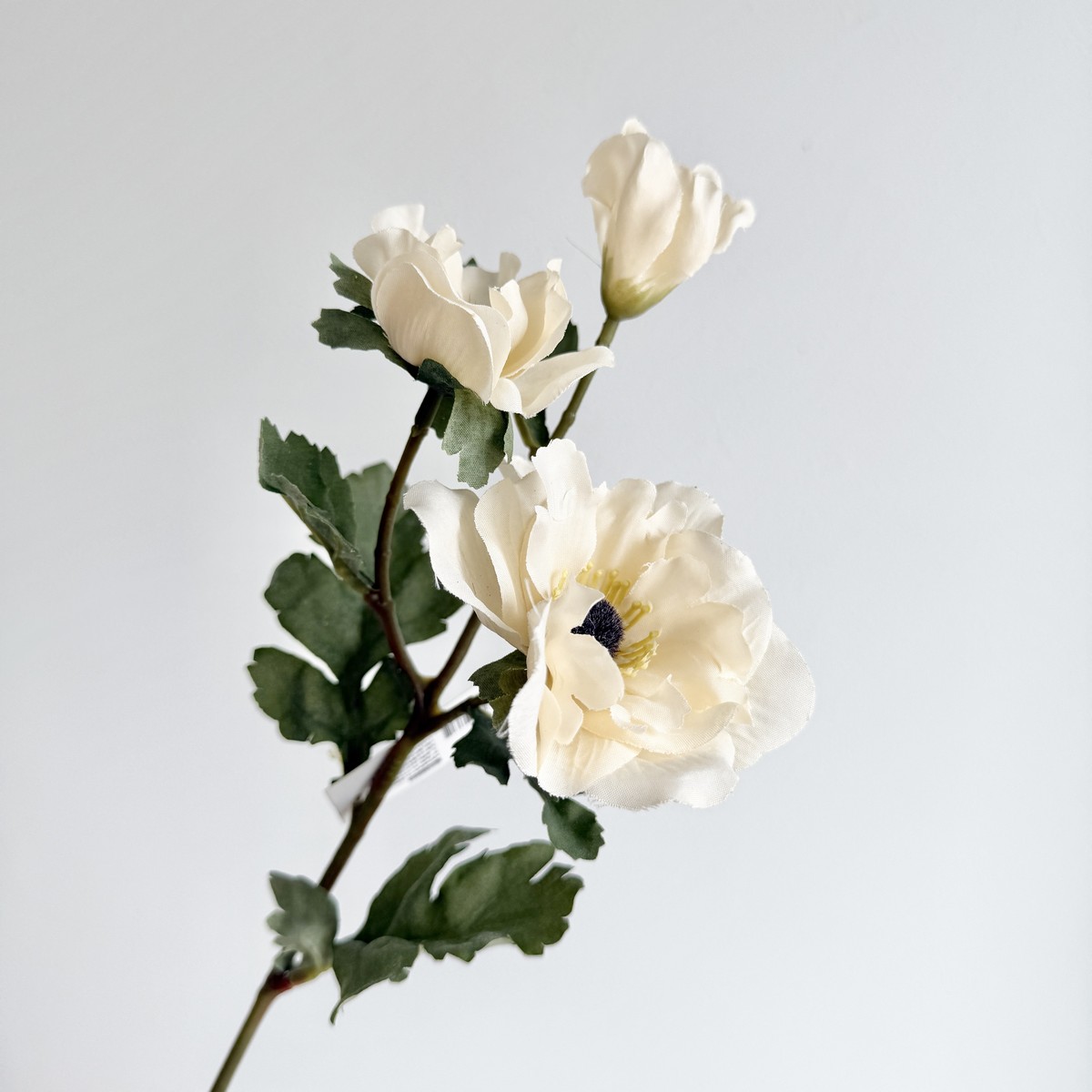 アウトレット◎【造花】YDM/クレールアネモネスプレー クリーム/FD-0142CR