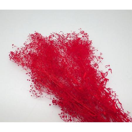 アウトレット◎【プリザーブド】GARDEN PALETTE MONO/ソフトミニカスミ草 レッド 約25g/GPGE-52